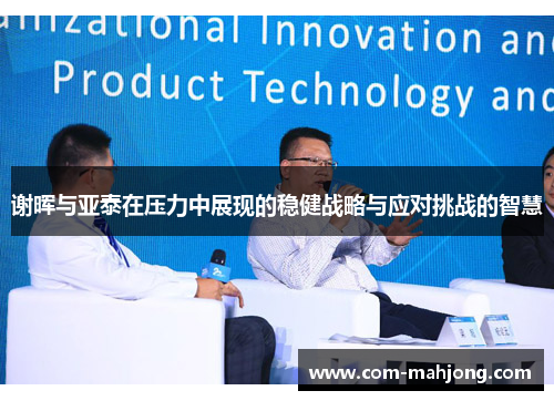 谢晖与亚泰在压力中展现的稳健战略与应对挑战的智慧