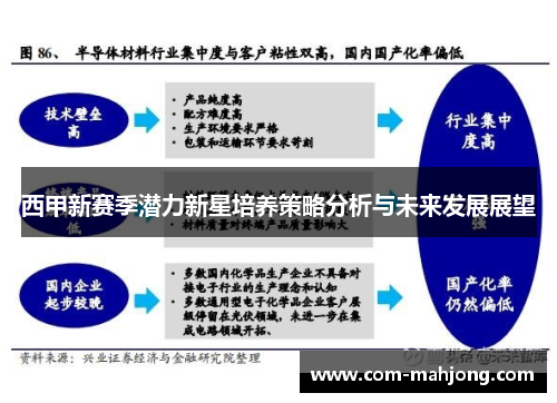 西甲新赛季潜力新星培养策略分析与未来发展展望
