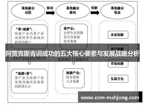 阿贾克斯青训成功的五大核心要素与发展战略分析 阿贾克斯青训成功的五大核心要素与发展战略分析