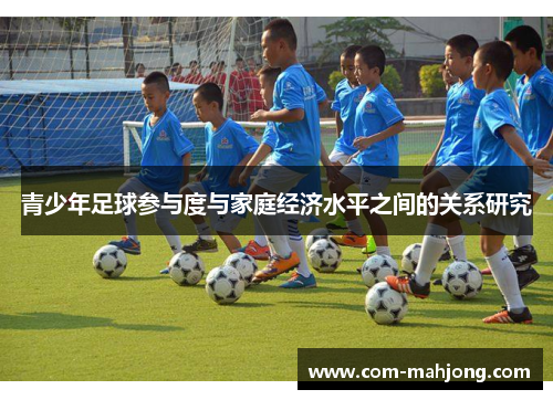 青少年足球参与度与家庭经济水平之间的关系研究 青少年足球参与度与家庭经济水平之间的关系研究