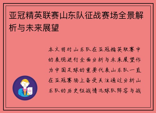 亚冠精英联赛山东队征战赛场全景解析与未来展望